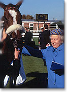 Picture of The Queen at the races